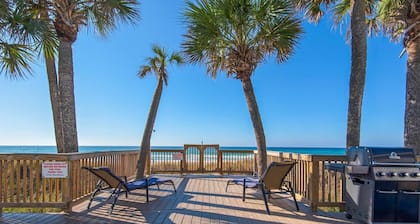 Parrotdise on the Gulf