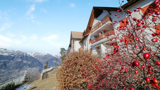 Un immeuble doté de balcons, offrant une vue sur la montagne et abritant un arbre aux baies rouges.