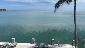 Vista al mar con una terraza de concreto, sillas de descanso y una palmera.