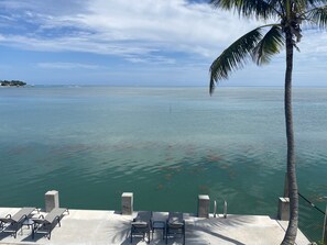 Property grounds - Oceanfront, Pool, Tiki, Amazing Views, Near Vaca, Great Dockage, Kayaks, Bikes (Marathon)