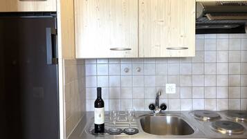 Fridge, dishwasher, cookware/dishes/utensils