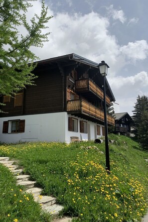 Ulkopuoli