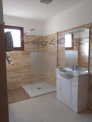 Shower, hair dryer, soap, toilet paper