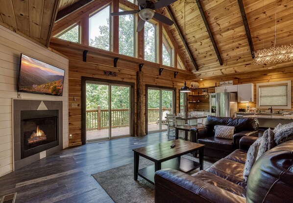 TV, fireplace, DVD player