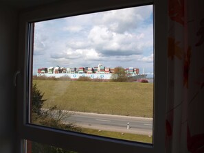 A view of a cargo ship with containers, a grassy field, and a road in the foreground. - Ferienwohnung Oberland - Haus Helgoland (Grünendeich)