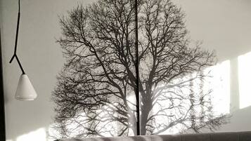 2 bedrooms, desk, soundproofing, iron/ironing board