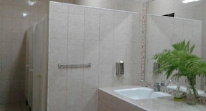 Regadera, amenidades de baño gratuitas, secadora de cabello, toallas