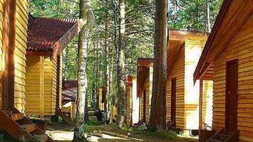 Chalet | 1 bilik tidur, meja, ruang kerja komputer riba, Wi-fi percuma