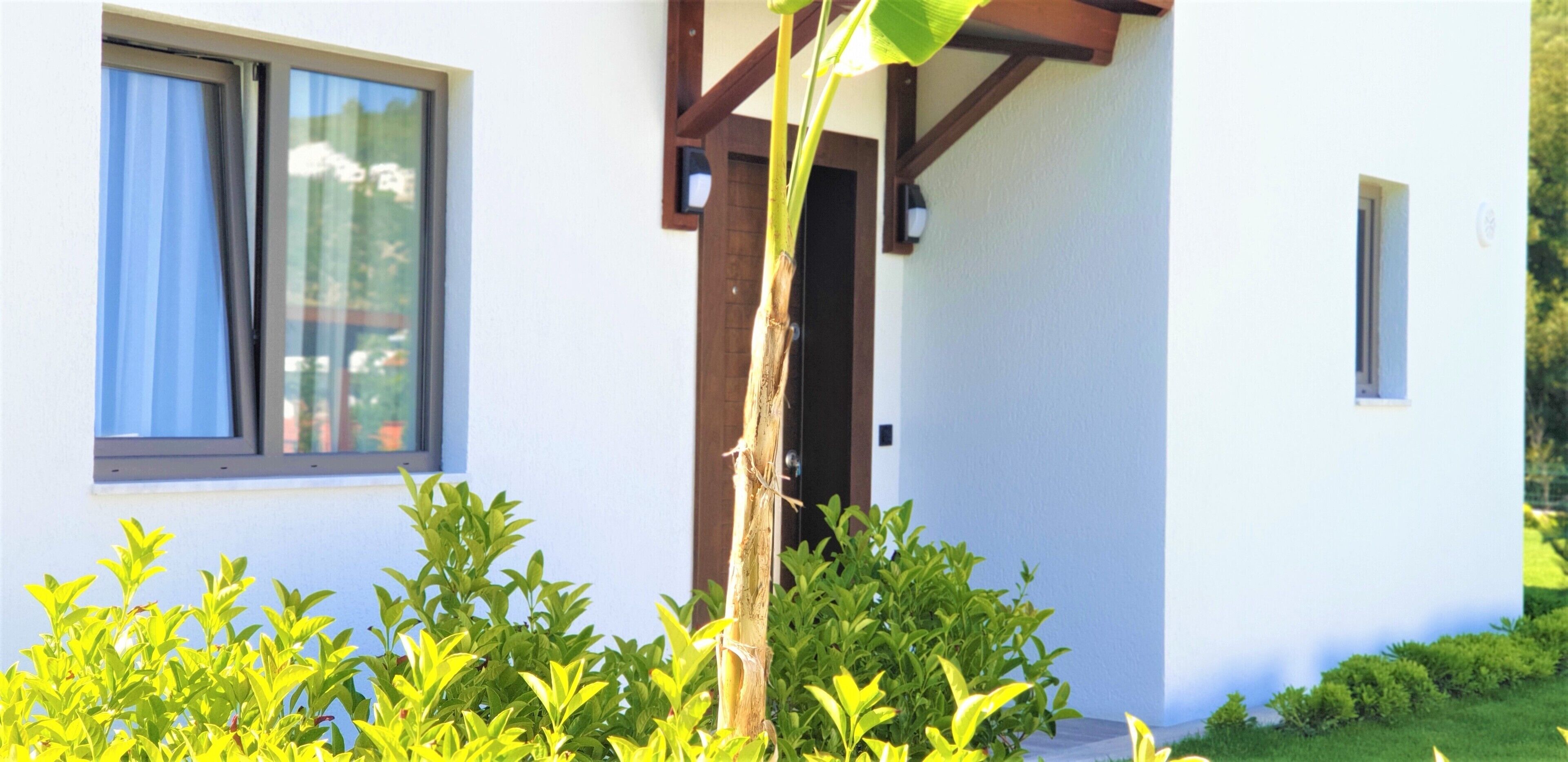 Un bâtiment blanc avec une porte et une fenêtre en bois, cette dernière étant ornée de rideaux.