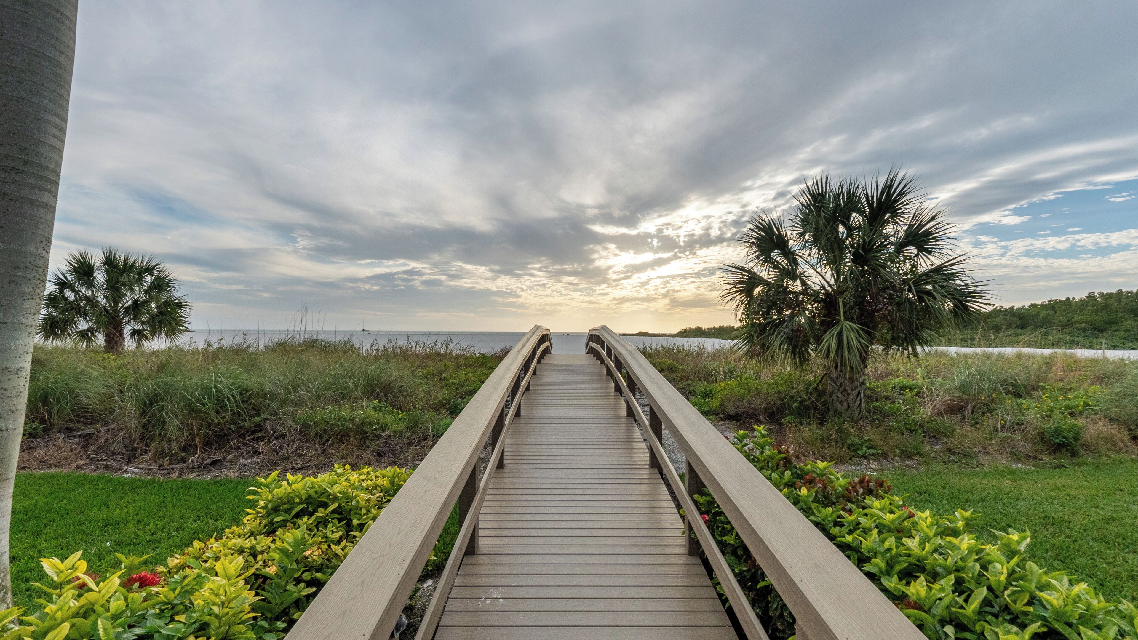 A wooden boardwalk leading to a body of water, surrounded by greenery and palm trees.