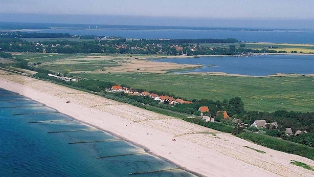 Immagine non classificata, 1 di 23, pulsante