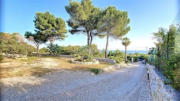 المنطقة المحيطة بالمنشأة