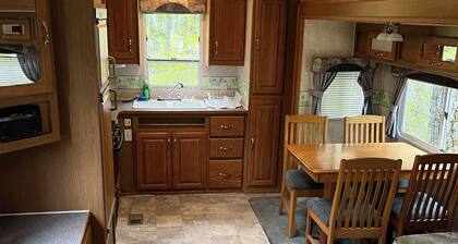 Robin - Camper at Sunset Bay