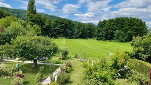 Ein üppiger Garten mit vielfältigen Pflanzen und Blumen, einem gepflegten Rasen und blauem Himmel.