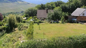A rural house with a sloped roof, surrounded by lush greenery and a vineyard in the background.