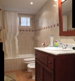 Bathtub, hair dryer, bidet, towels
