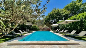 A rectangular swimming pool with a tiled deck, surrounded by lounge chairs and umbrellas, set against a backdrop of trees and a stone wall. - Full of character, standing, SWIMMING POOL, large GARDEN, QUIET CHARM & BEAUTY (Avignon)