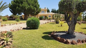 A well-maintained garden with a variety of plants and a large tree in the foreground. - Villa V5 Piscine et Spa (São Bartolomeu de Messines)
