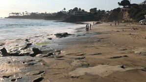 Ein Strand mit Fußabdrücken, felsiger Küste und Palmen.