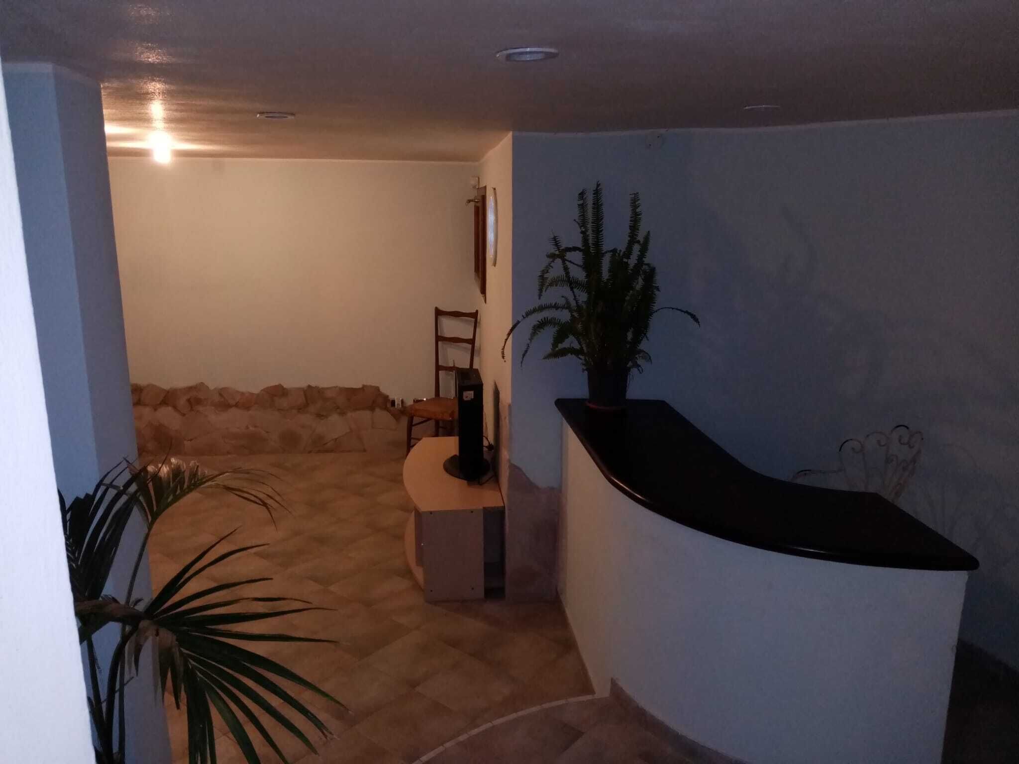 Ein Zimmer mit einer gebogenen Rezeption, einem Sessel, einem kleinen Tisch und einem Blumentopf.