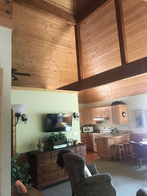 TV, DVD player, books, video library