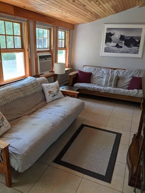 TV - Steps to the Lake and myers park (Lansing)