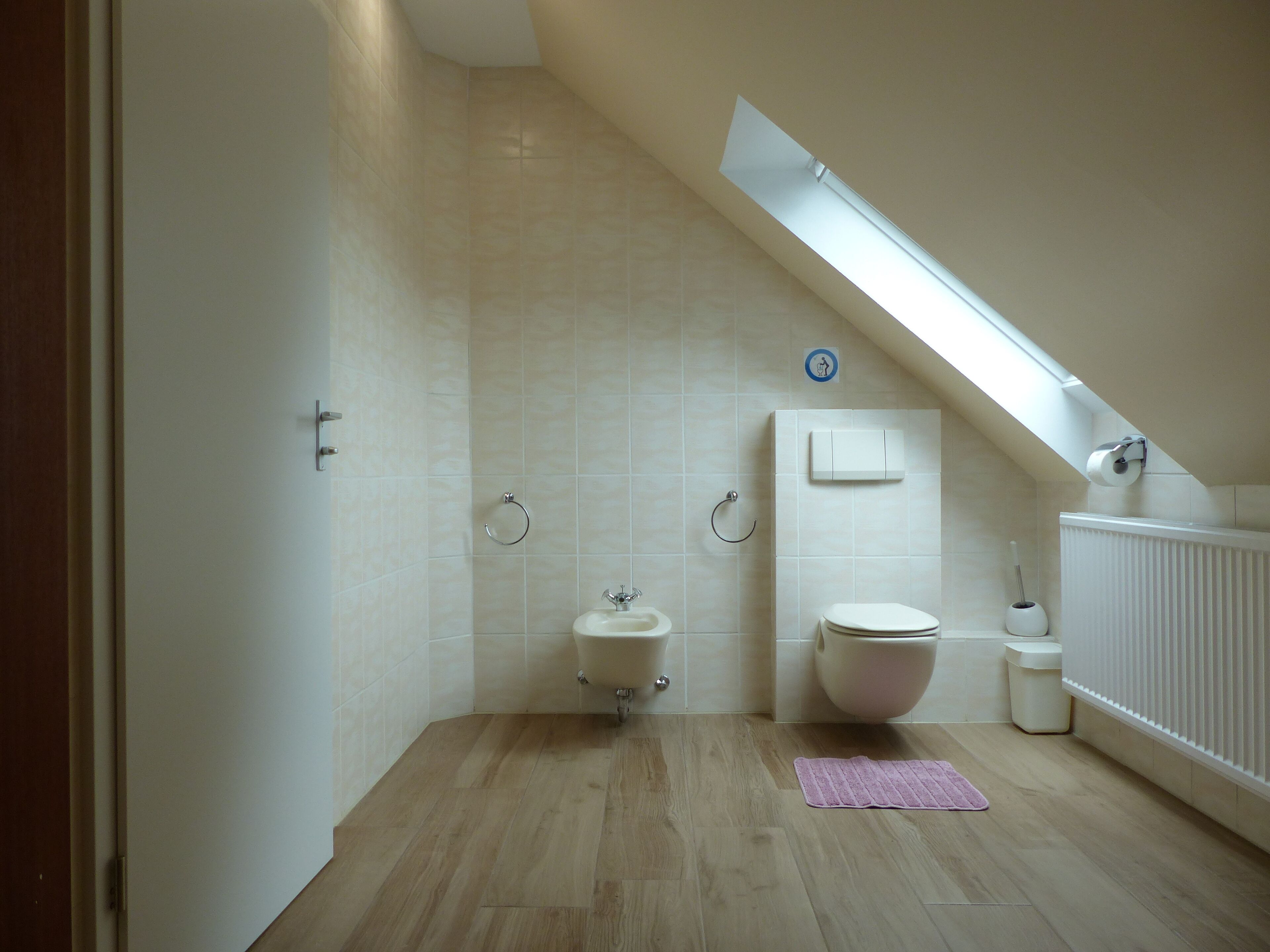 Une salle de bain moderne dotée d’un puits de lumière, de toilettes, d’un lavabo et d’un bidet.