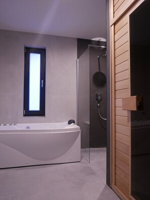 Combined shower/bathtub, jetted bath, hair dryer, towels