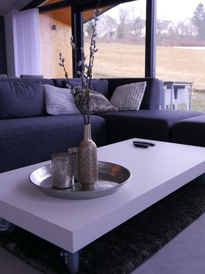 Smart TV, fireplace, DVD player, books