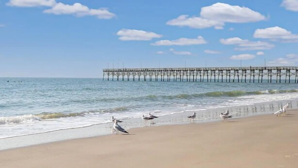 Una playa con un muelle que se adentra en el agua, gaviotas sobre la arena y un cielo despejado.