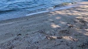A beach with calm waters and a wooden structure on stilts in the background. - WATERFRONT DOOR COUNTY HOME.  Gorgeous Sunsets. 3 Bedrooms. Sleeps 6.   5 star! (Door County)
