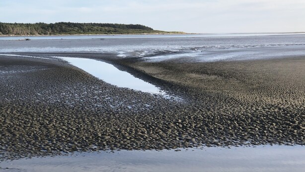 Een strand met kiezels en een rustig waterlichaam.