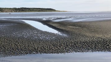 Beach nearby, beach towels