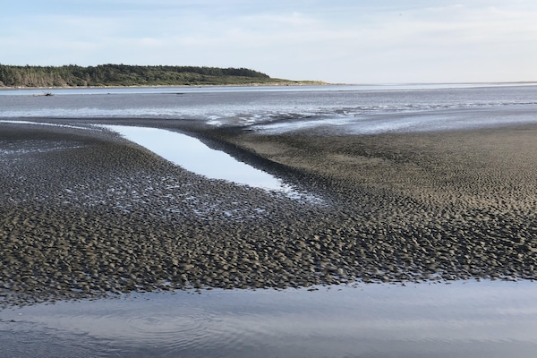 Beach nearby, beach towels