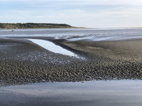 Nær stranden og strandhåndklær. Come and enjoy a summer break at our lovely Foxton Beach.