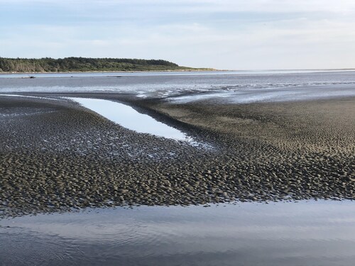 Come and enjoy a summer break at our lovely Foxton Beach.