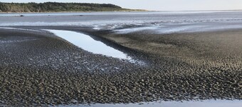 Come and enjoy a summer break at our lovely Foxton Beach.