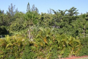 Terrain de l’hébergement