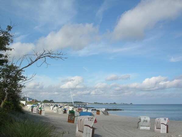Playa