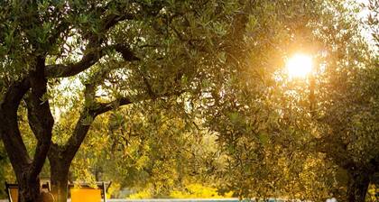 Holiday apartment Pesaro for 1 - 3 persons with 1 bedroom - Farmhouse
