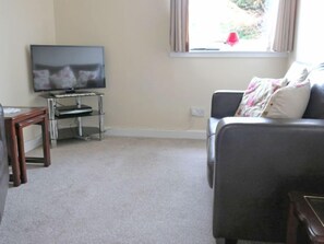 Flat-screen TV, DVD player