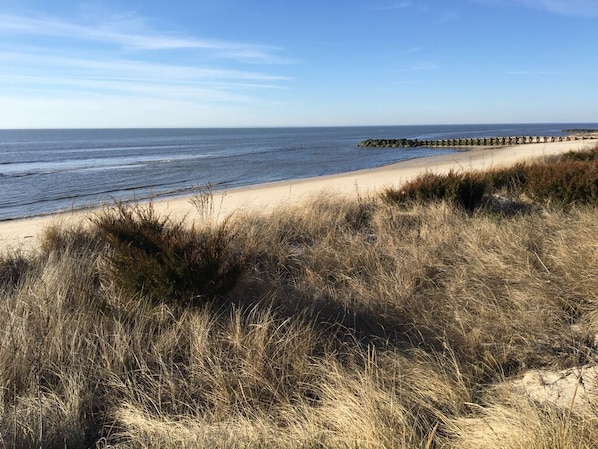 Plage, chaises longues