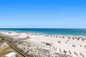 Ein Strand mit einer Holzpromenade, Strandmuscheln und einem strahlend blauen Himmel.