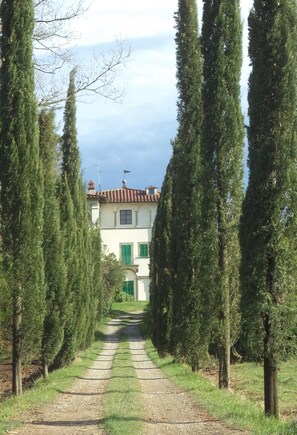 Stroll through the serene entrance, flanked by tall trees, to the traditional building with a central entrance and green door.