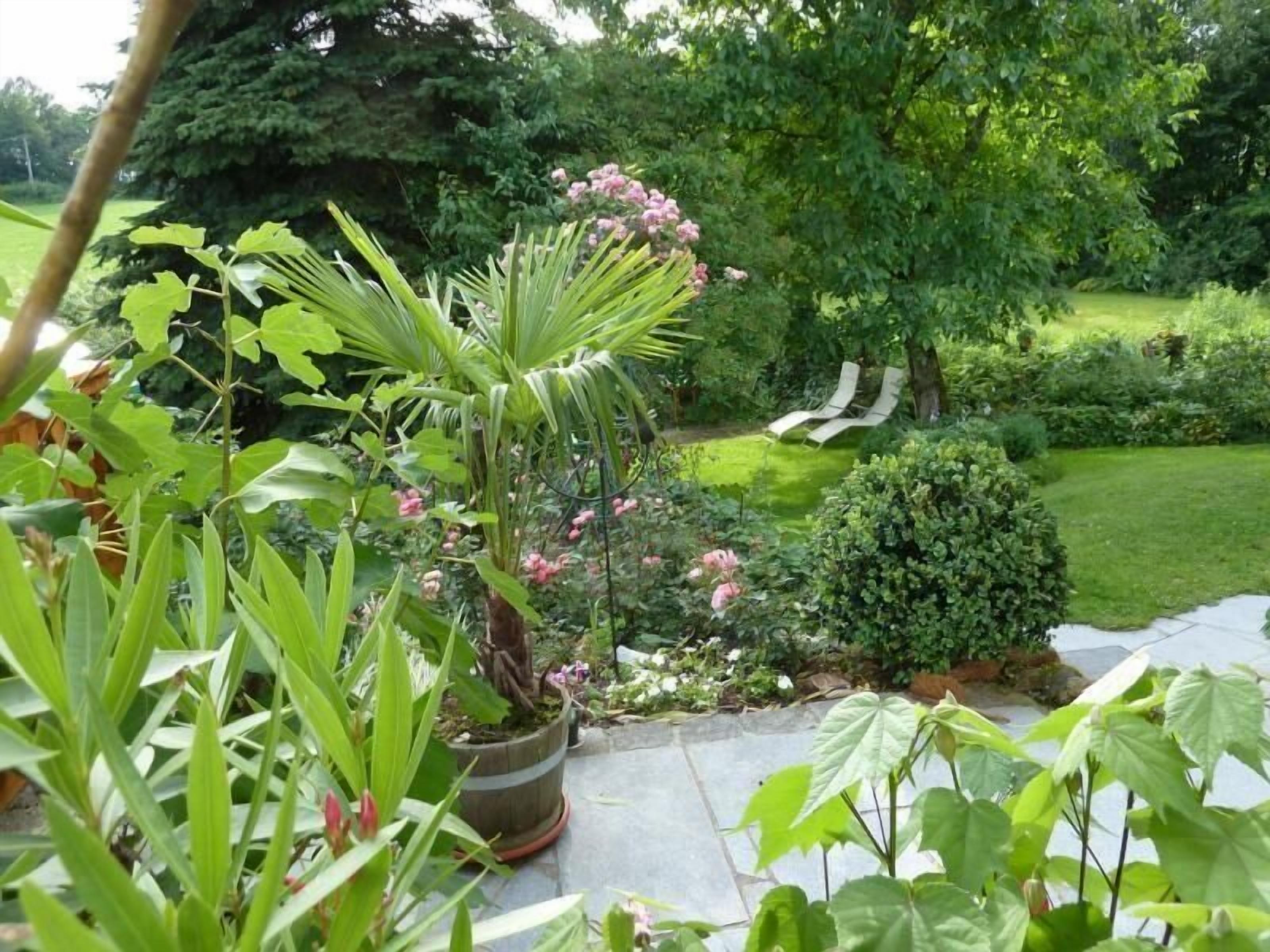 Áreas de la propiedad