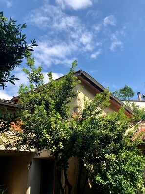 Détail de l’extérieur