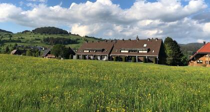 Holiday house Bernau for 1 - 7 persons with 3 bedrooms - Row house