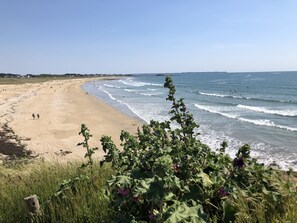 Beach - Loriot2 apartment sea view on the fort blocked ploemeur (Ploemeur)