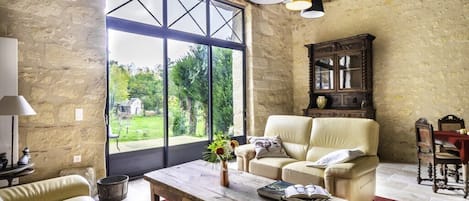 Televisión, chimenea y reproductor de DVD