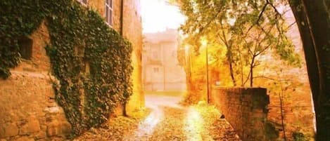المنطقة المحيطة بالمنشأة